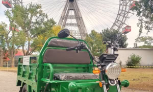 Elektrofant, E-Schwerlastenrad von Bikes4cargo zum Mieten in Wien! Perfekt für Transporte aller Art