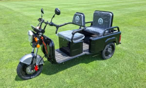 Elektrofant Cruiser E-Schwerlastenrad Bikes4cargo